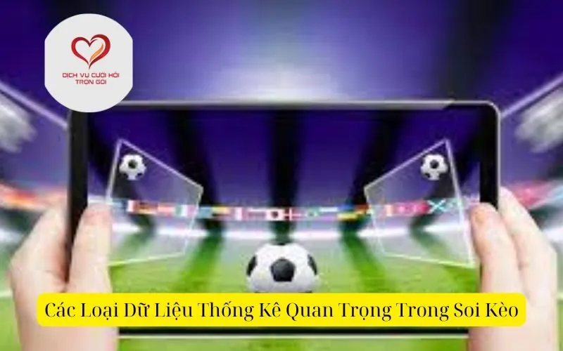 Các Loại Dữ Liệu Thống Kê Quan Trọng Trong Soi Kèo