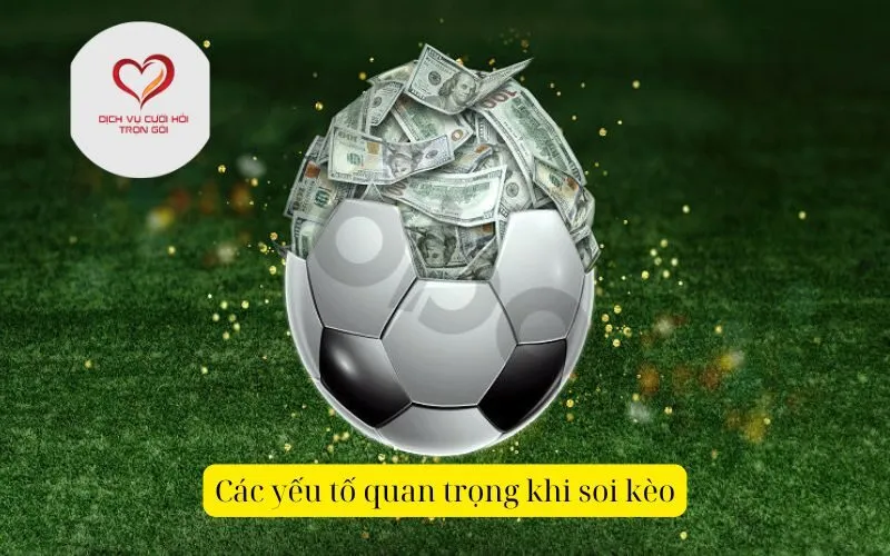 Các yếu tố quan trọng khi soi kèo