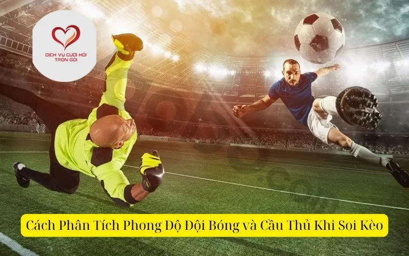 Cách Phân Tích Phong Độ Đội Bóng và Cầu Thủ Khi Soi Kèo