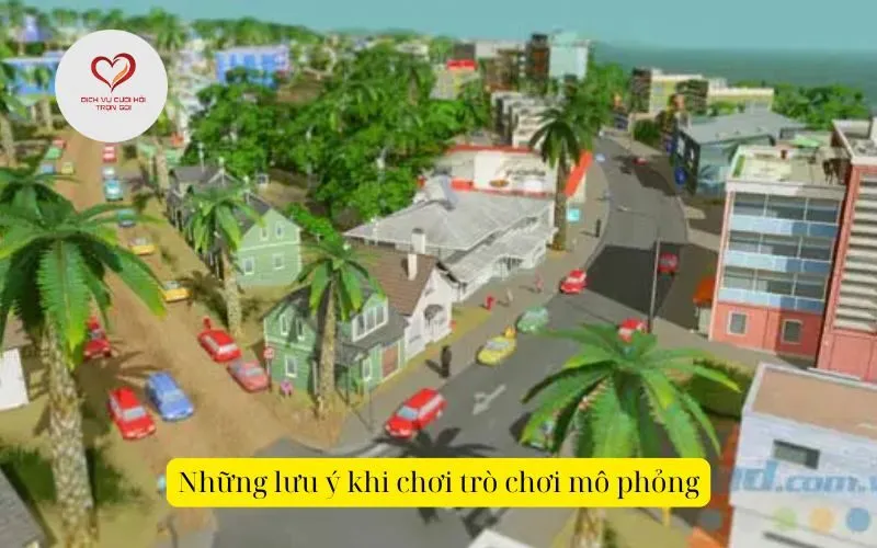 Những lưu ý khi chơi trò chơi mô phỏng