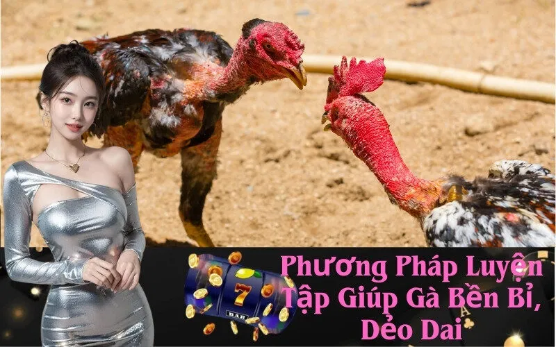Phương Pháp Luyện Tập Giúp Gà Bền Bỉ, Dẻo Dai