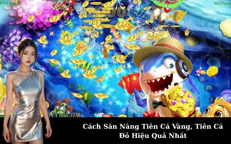 Cách Săn Nàng Tiên Cá Vàng, Tiên Cá Đỏ Hiệu Quả Nhất