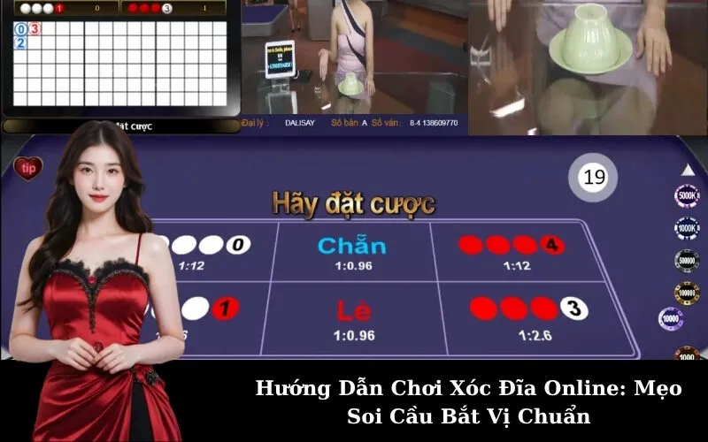 Hướng Dẫn Chơi Xóc Đĩa Online: Mẹo Soi Cầu Bắt Vị Chuẩn