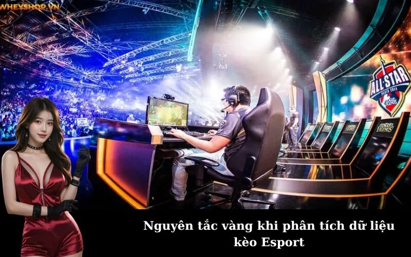Nguyên tắc vàng khi phân tích dữ liệu kèo Esport