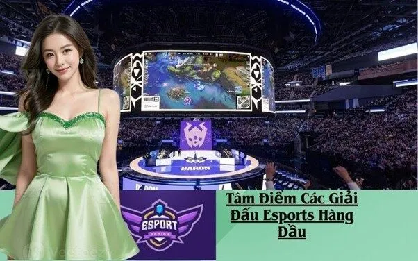 Tâm Điểm Các Giải Đấu Esports Hàng Đầu