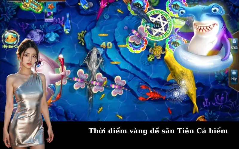 Thời điểm vàng để săn Tiên Cá hiếm