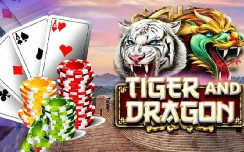Tổng hợp mẹo chơi Rồng Hổ bất bại từ cao thủ